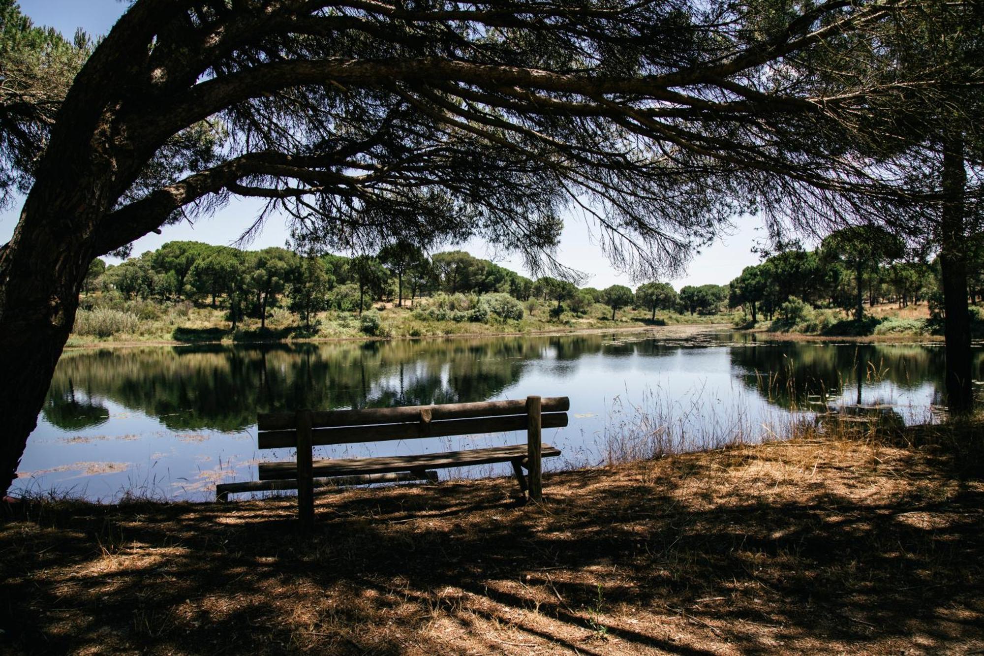 Herdade De Montalvo - Компорта Экстерьер фото